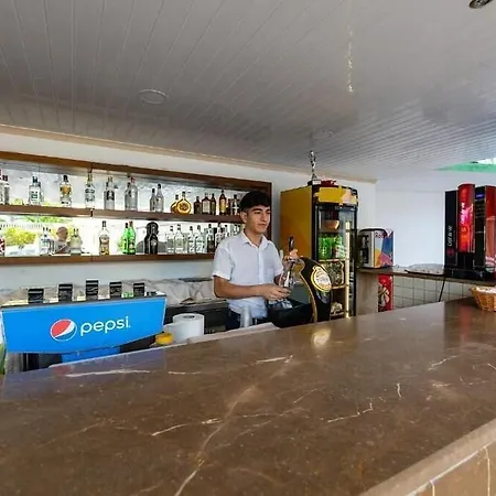Aparthotel Viking Express